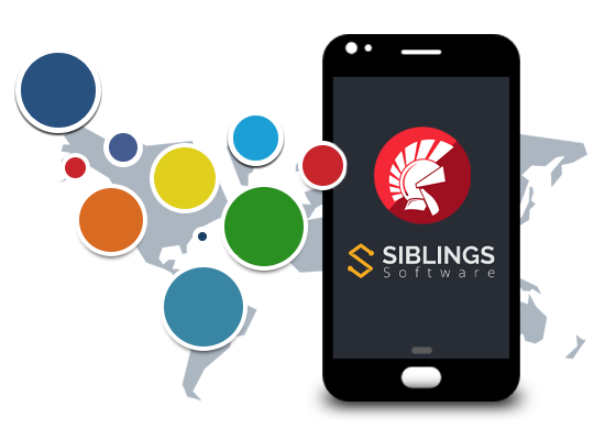 USA Delphi Software Outsourcing Company