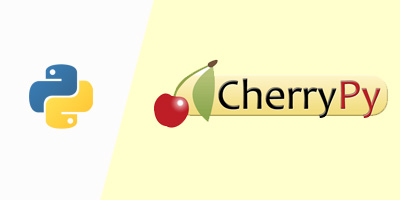 CherryPy - Framework Python Development Outsourcing